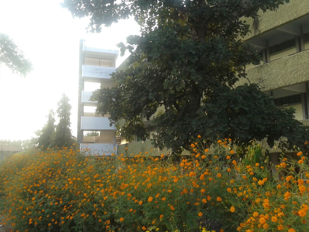 Campus View — 30 October 2013, 16:44