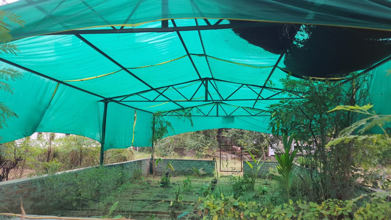 Botanical Garden